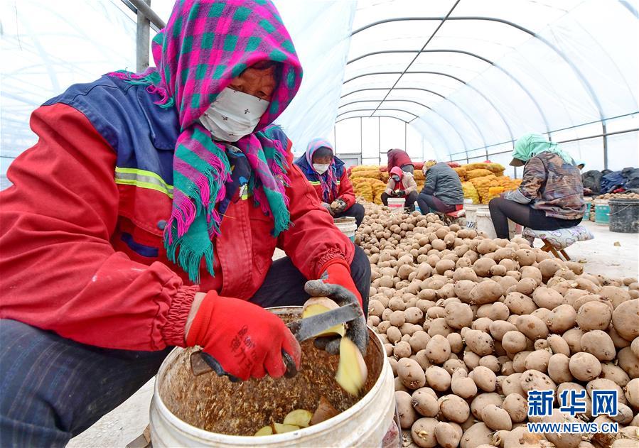 长春市二道区：强化情绪疏导 筑牢防疫心理防线